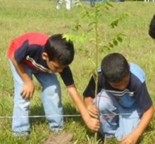 Siembran 50 arbolitos en el Fraccionamiento Villa Madrid